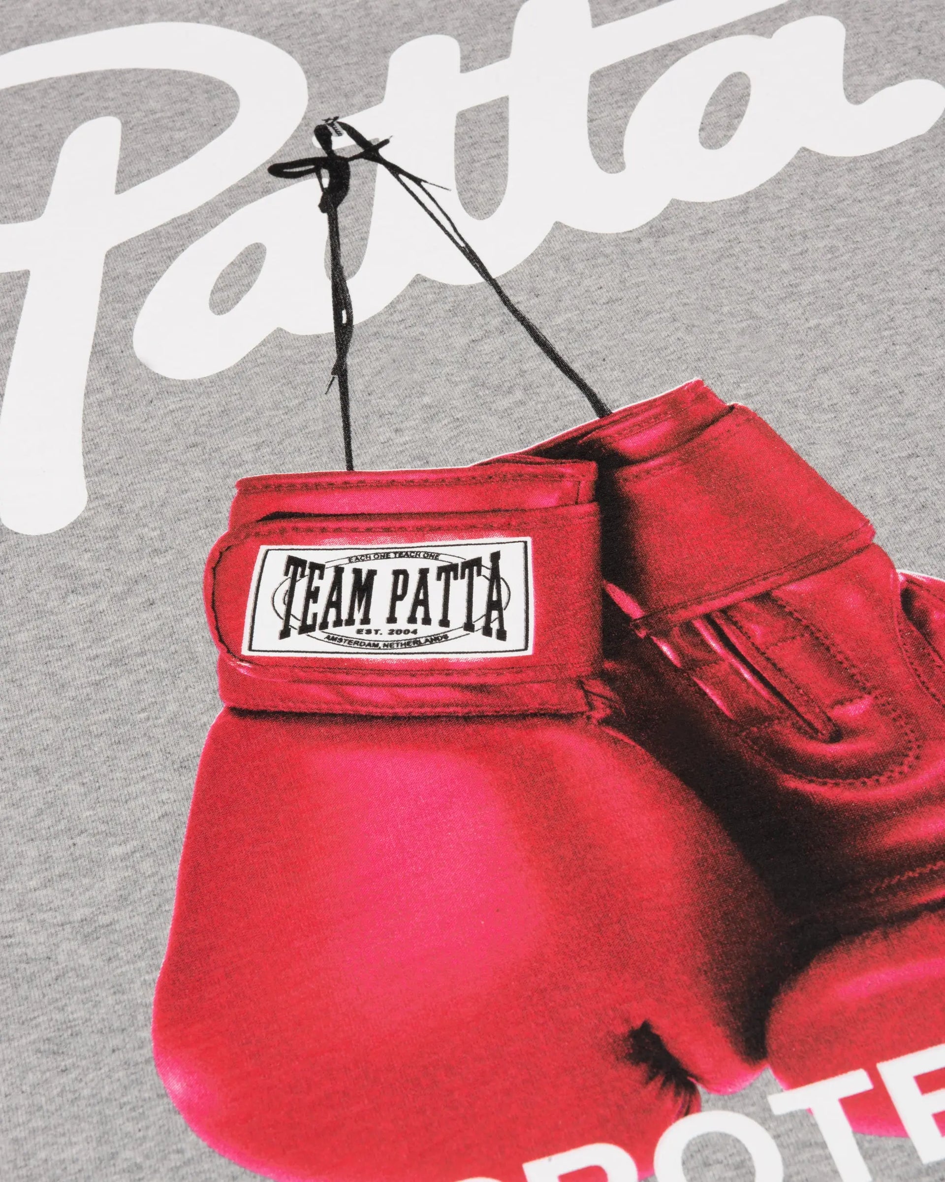 Patta Protect Yourself T-Shirt (Melange Grey) Patta